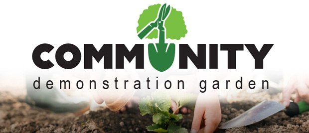 Community Garden