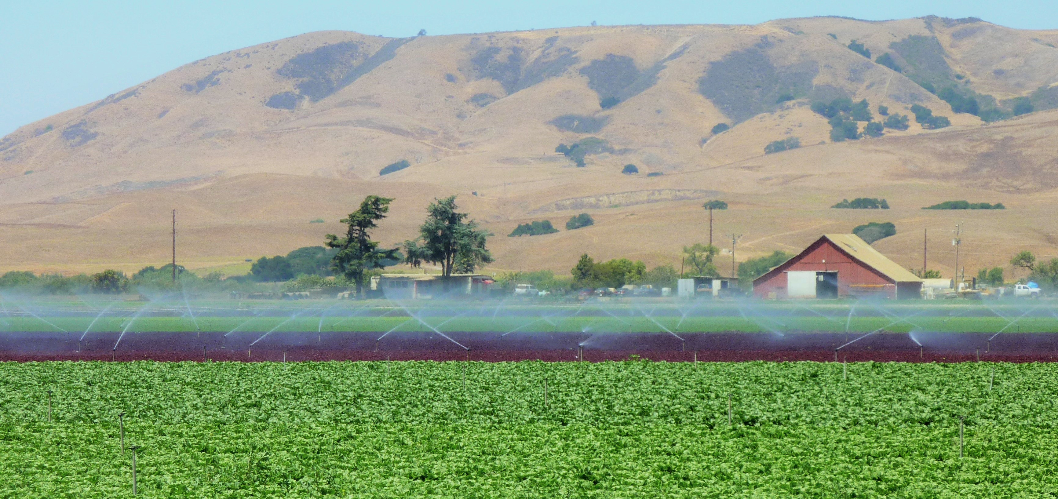California farmland