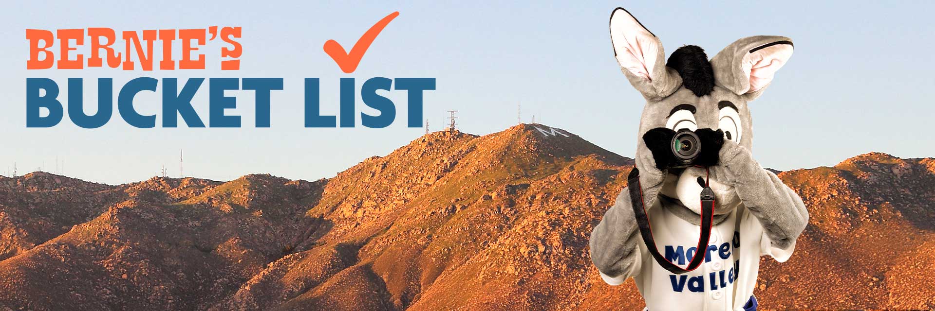 Bernie the Burro taking a selfie with a phone — Bernie's Bucket List