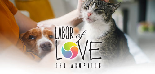Labor of love pet adoptions event. September 8-11, 2026.