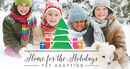 Home for the Holidays Adoption Event